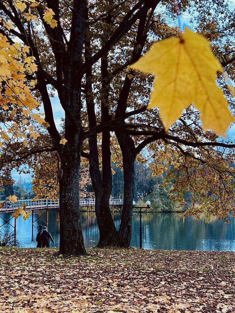 Фотография автора Ожегова Наталья