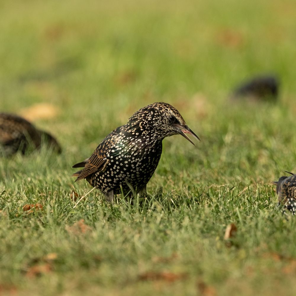 Photograph by Артём