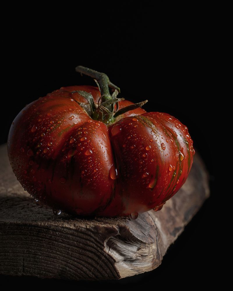 Photograph by Olga Yar