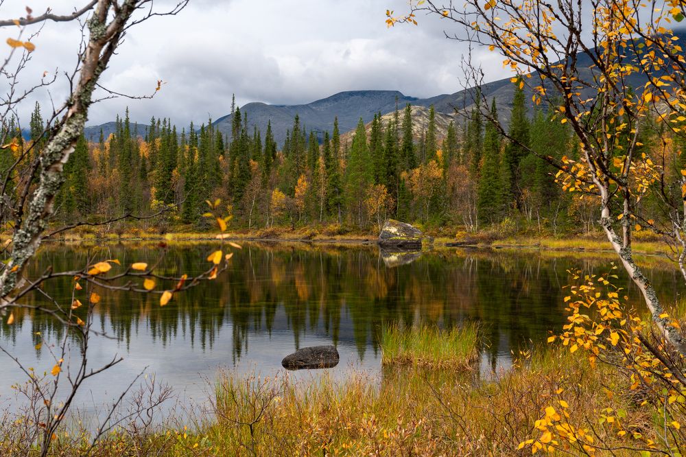 Photograph by Дарья Карамышева