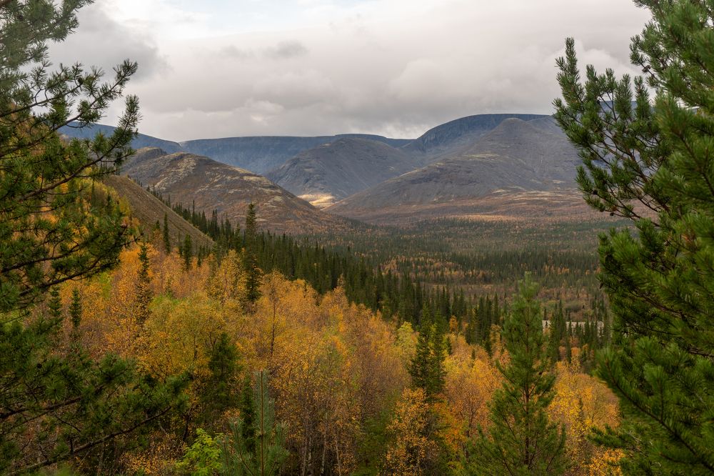 Photograph by Дарья Карамышева