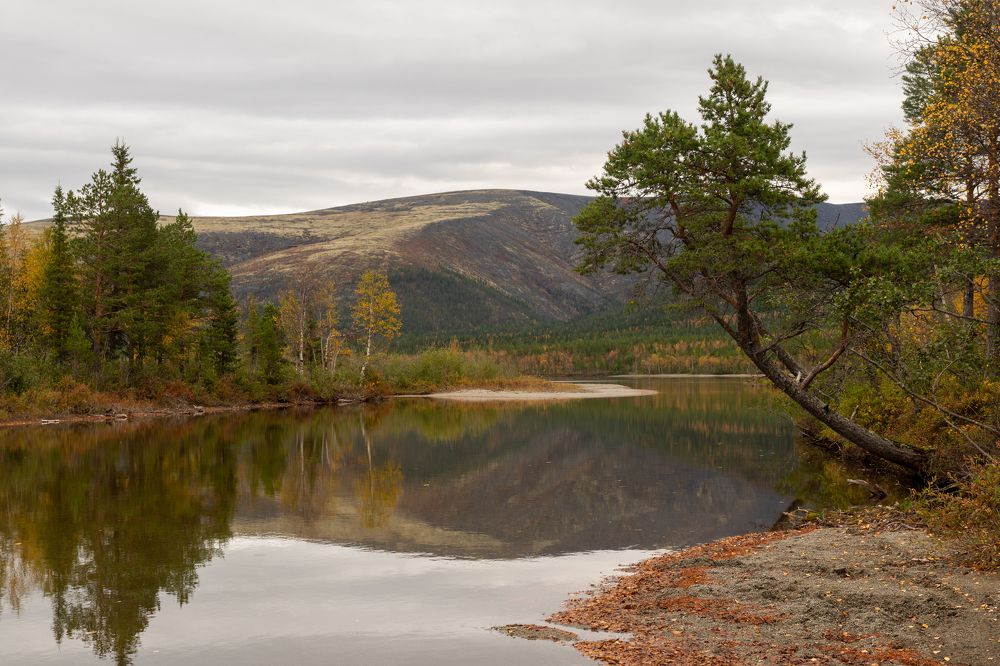 Photograph by Дарья Карамышева