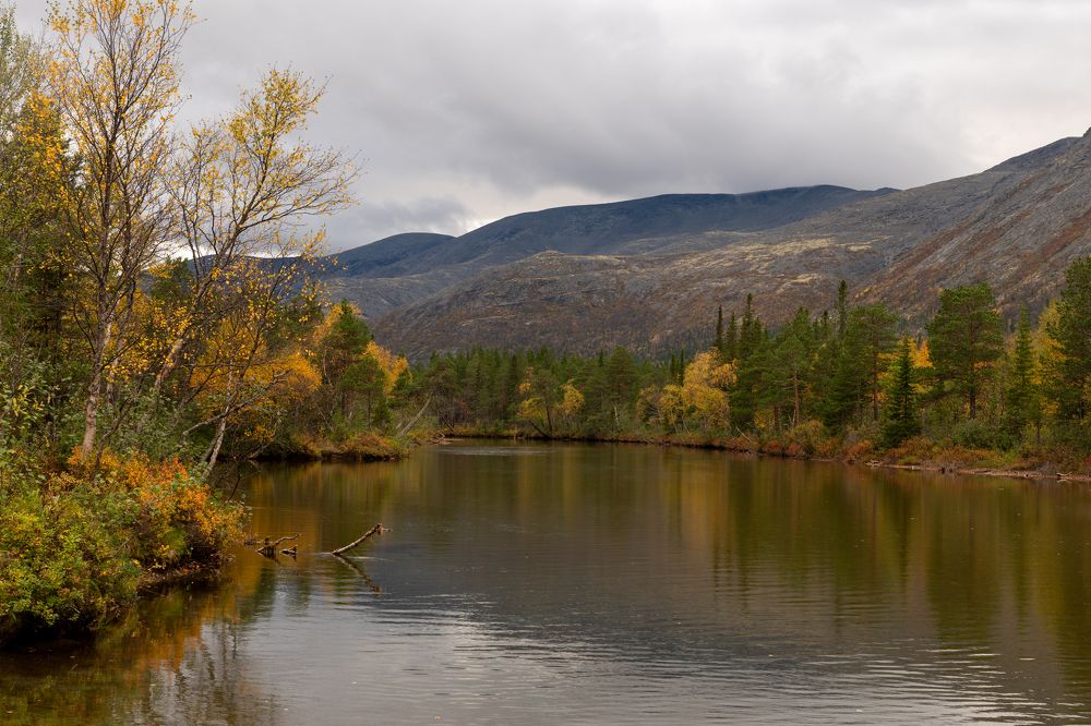 Photograph by Дарья Карамышева