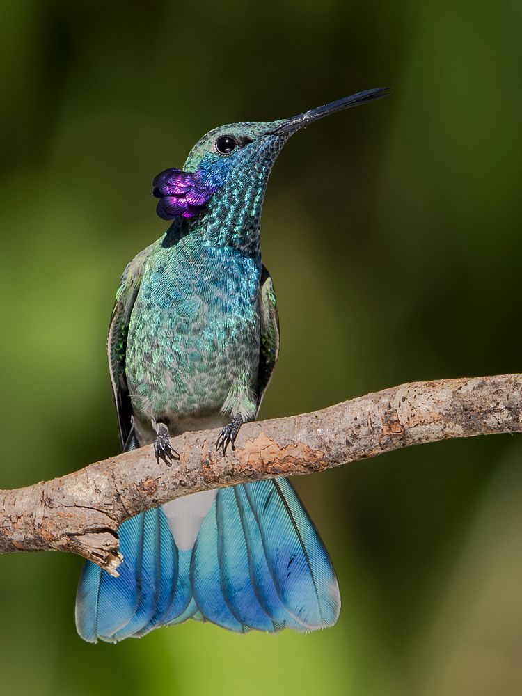 Photograph by Luiz Augusto Magina