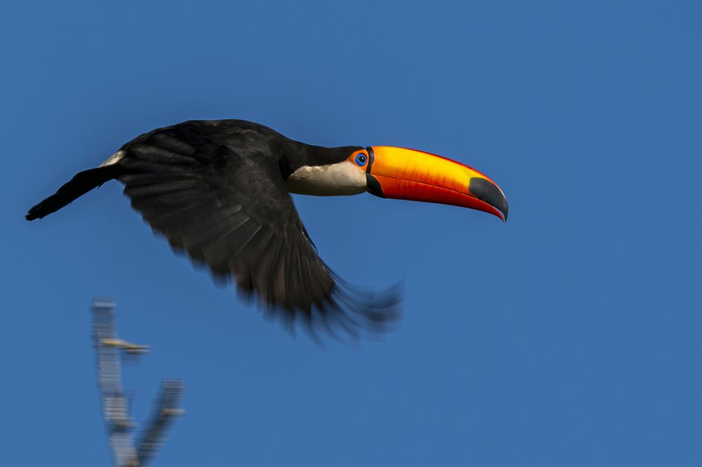 Photograph by Luiz Augusto Magina