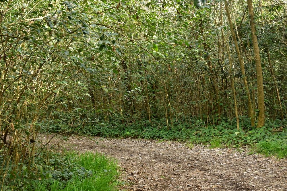 Photograph by SILVIA CLELIA AGOSTINIS