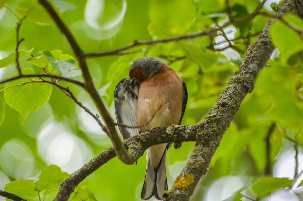 Photograph by Сергей Гуров