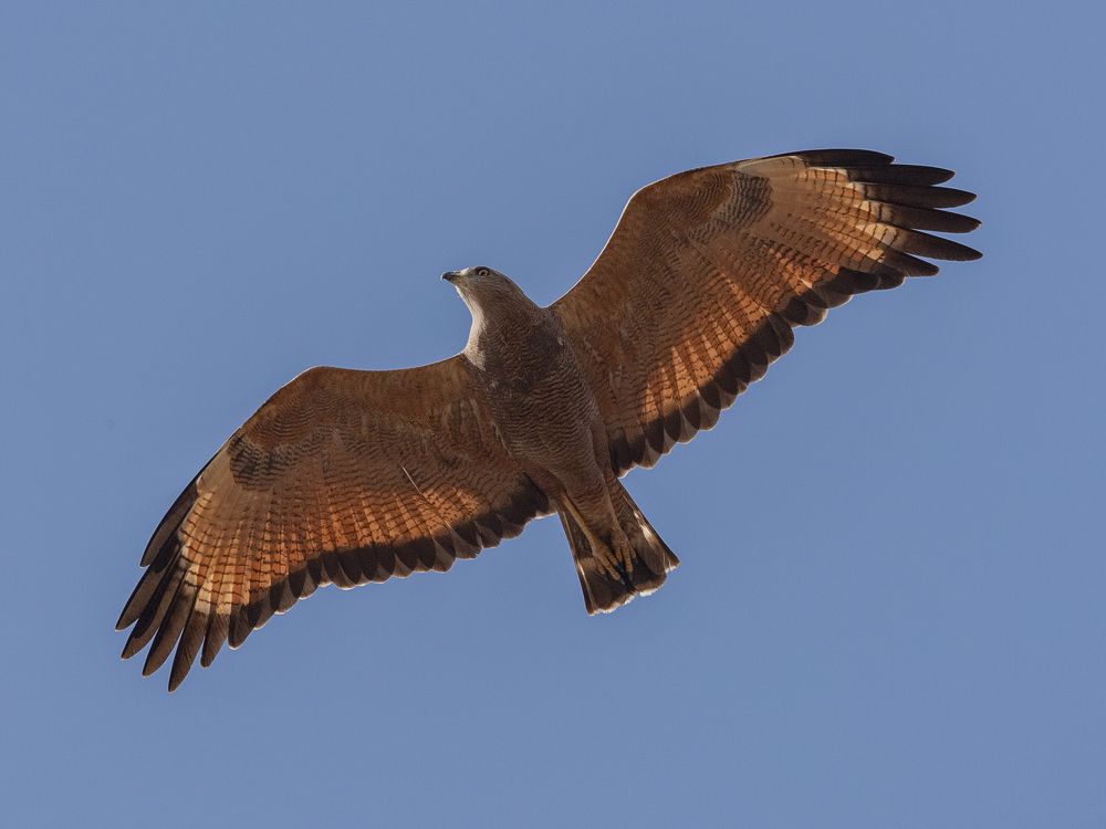 Photograph by Luiz Augusto Magina