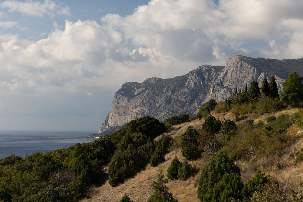 Фотография автора Нина Михеева