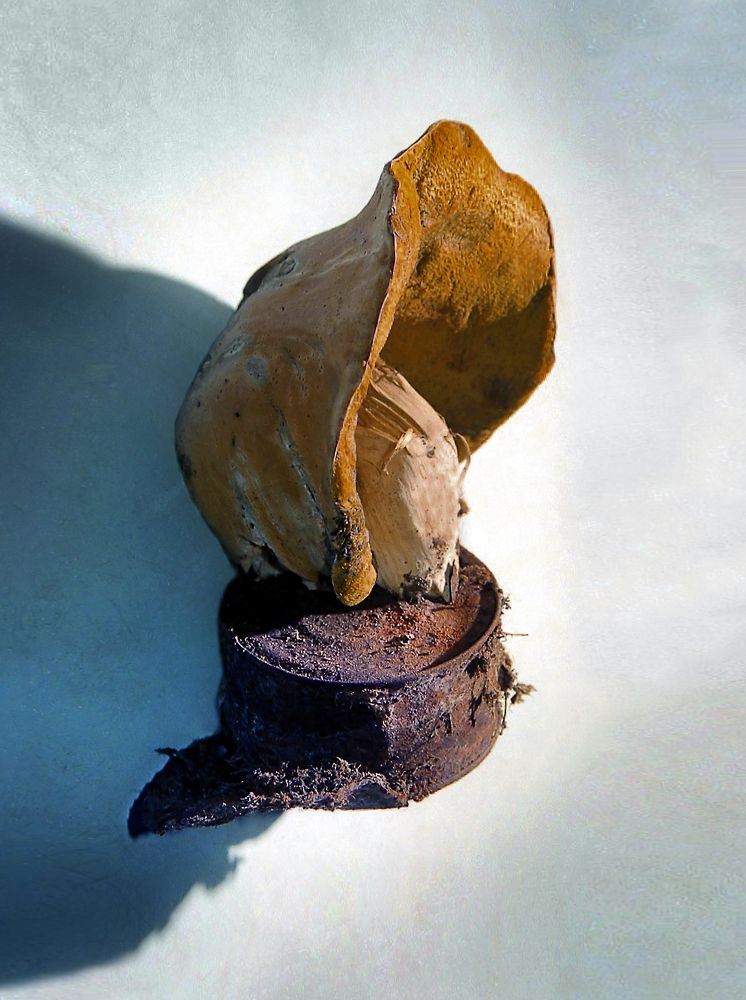 Photograph by Валентин Кузьмин