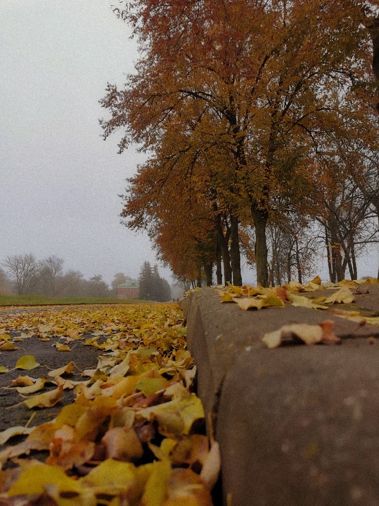 Фотография автора Ольга Панасюк