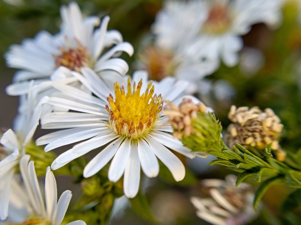 Photograph by Александр Казачек