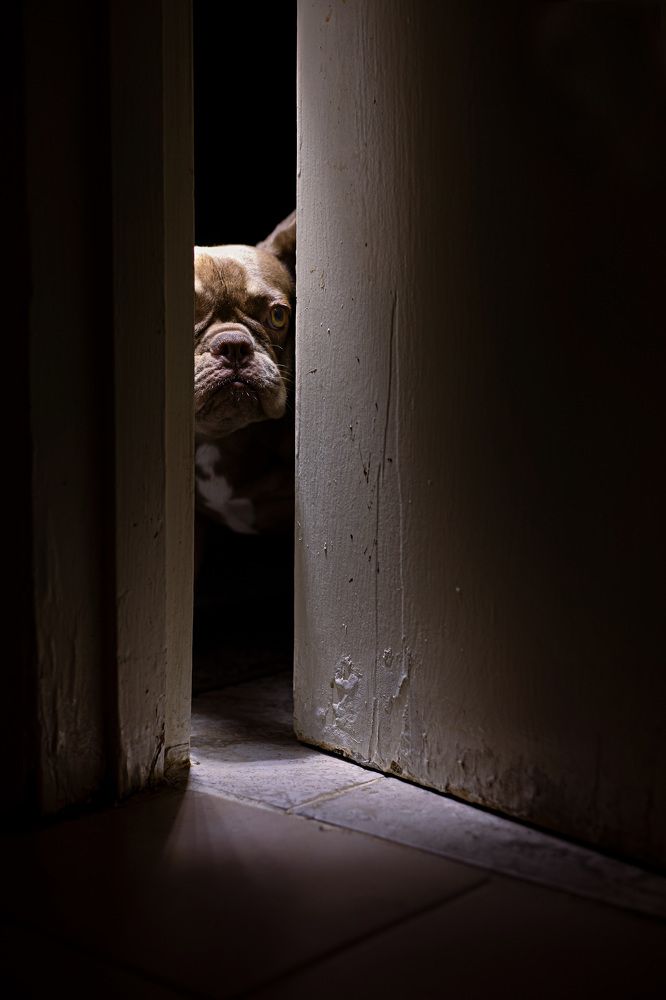 Фотография автора Tetiana Anpilova