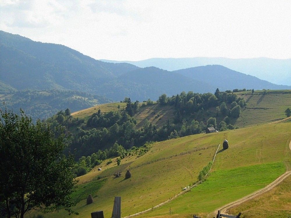 Photograph by Ирина