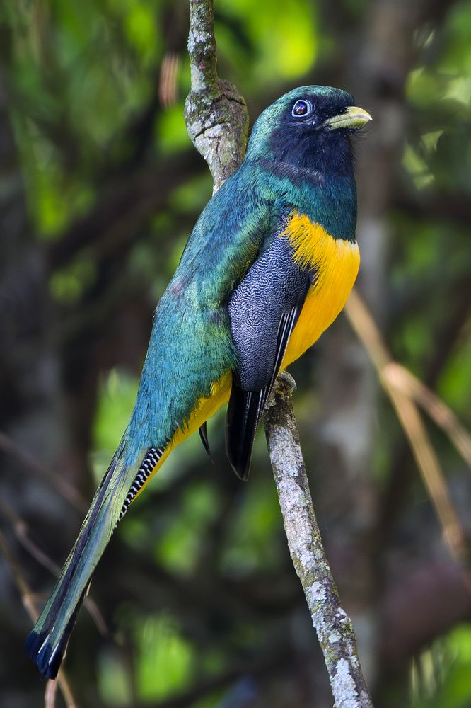 Photograph by Luiz Augusto Magina