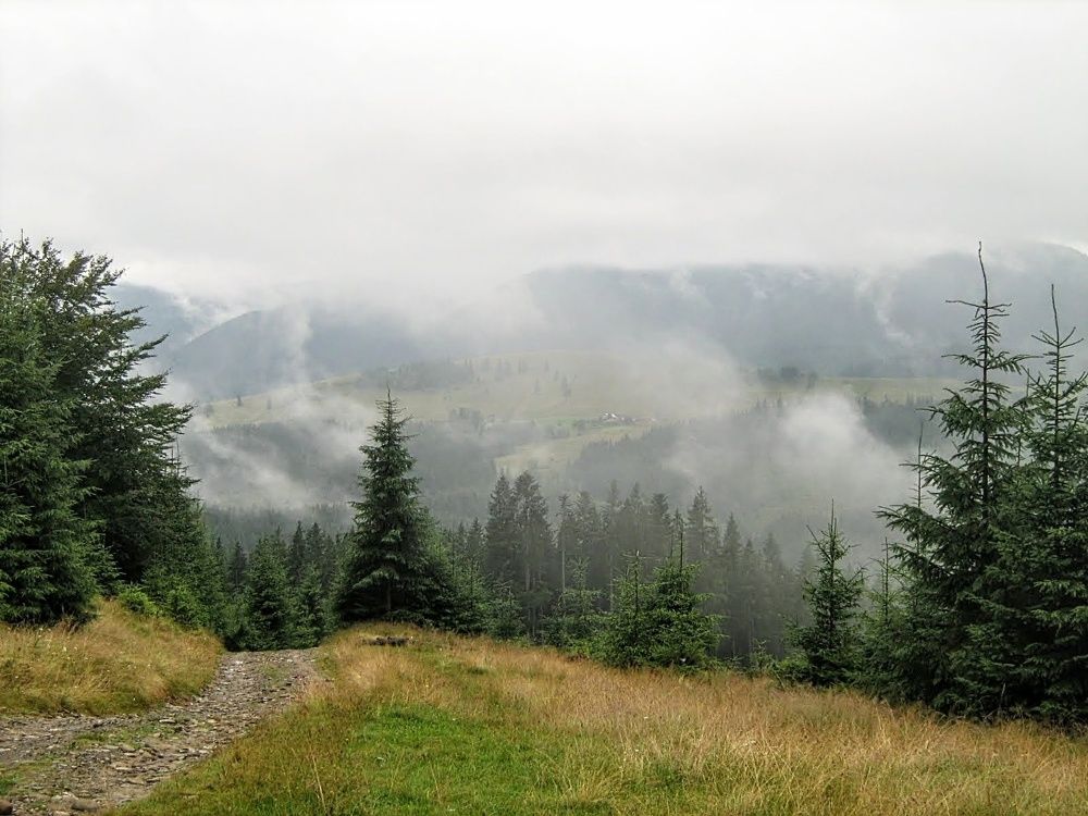 Photograph by Ирина