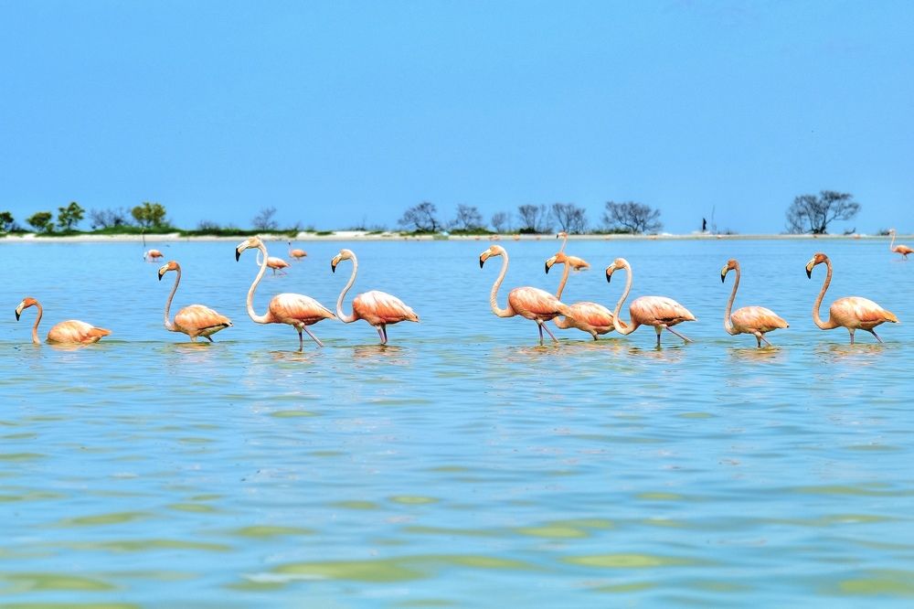 Photograph by Дулова Анастасия