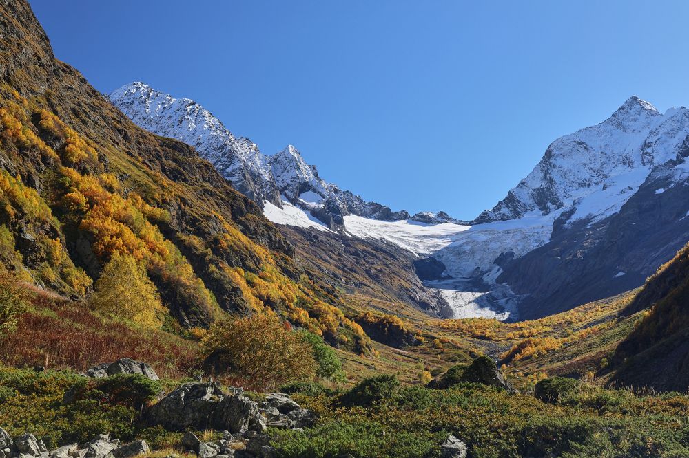 Фотография автора Нина Михеева