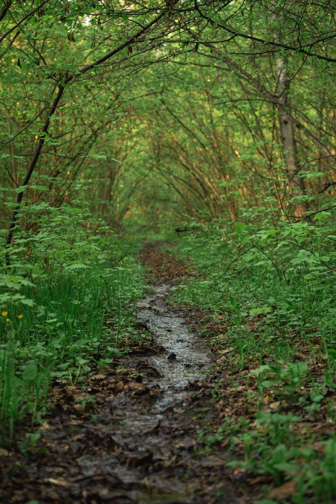 Photograph by Олег Титкин