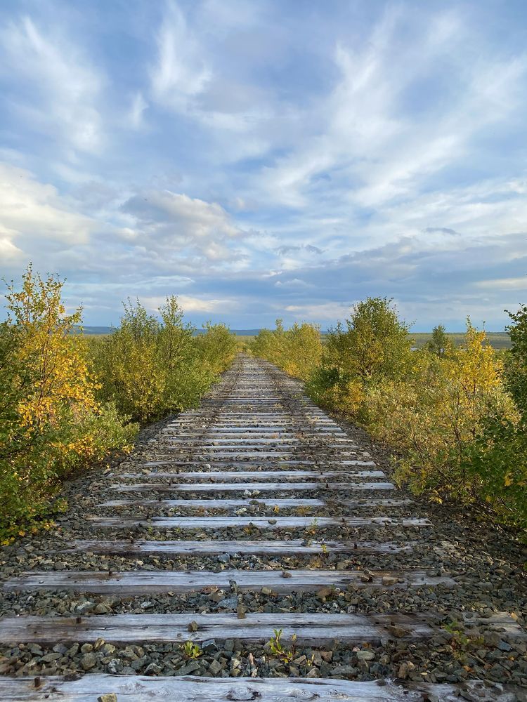 Заброшенная железная дорога
