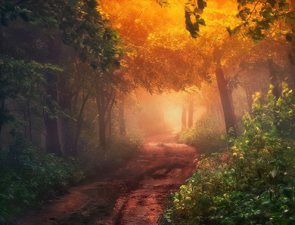 Photograph by Владимир