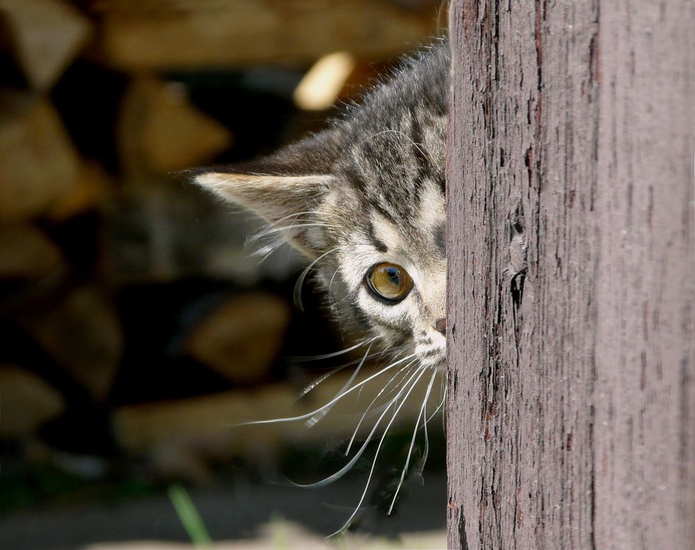 Photograph by Валентин Кузьмин