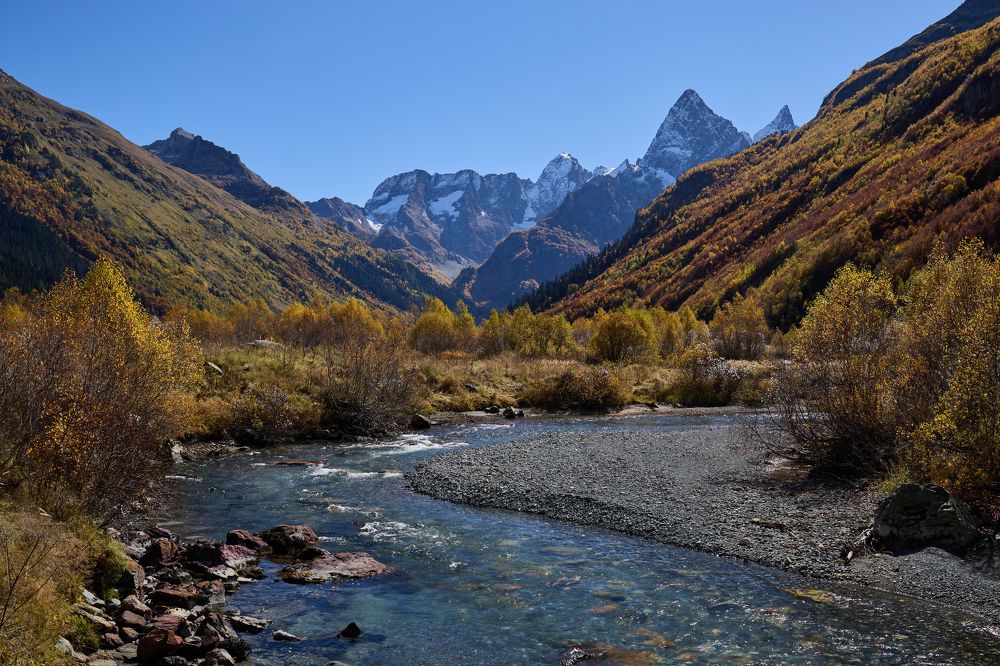 Фотография автора Нина Михеева