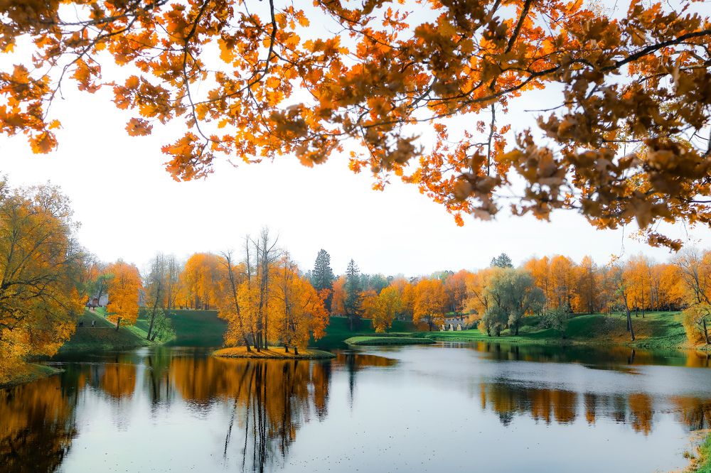 Photograph by Наталья Чернышова