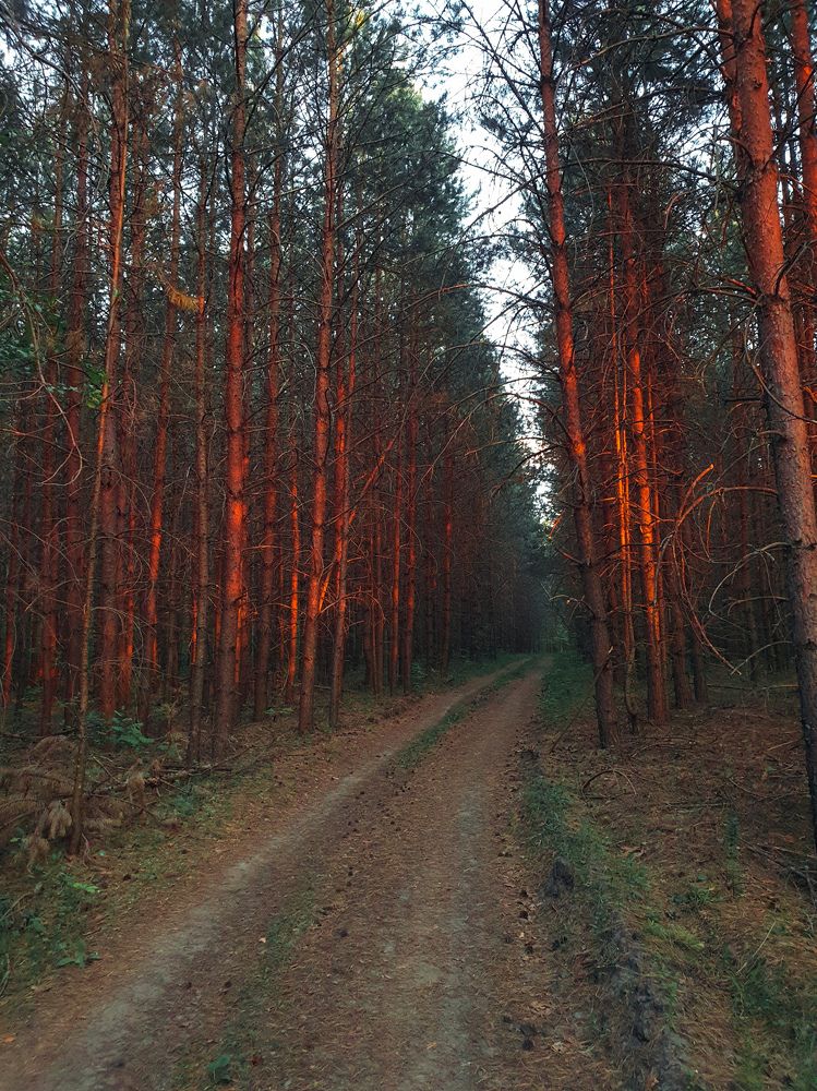 Photograph by Олег Титкин