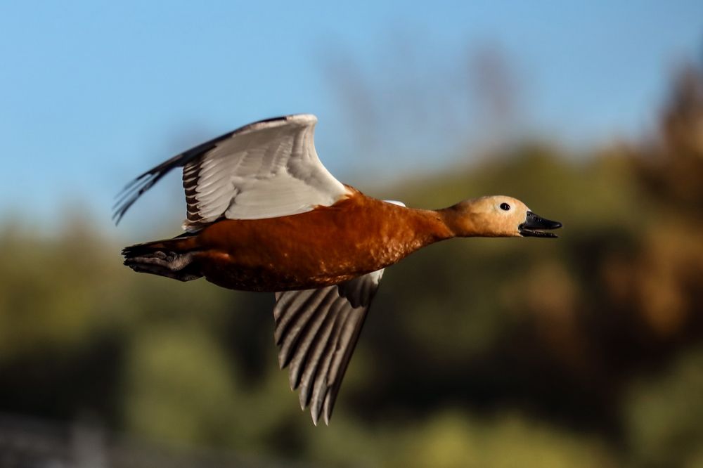 Photograph by Sergey Uskov