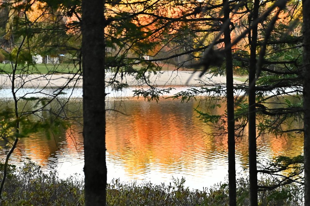 Photograph by Юлия Белински