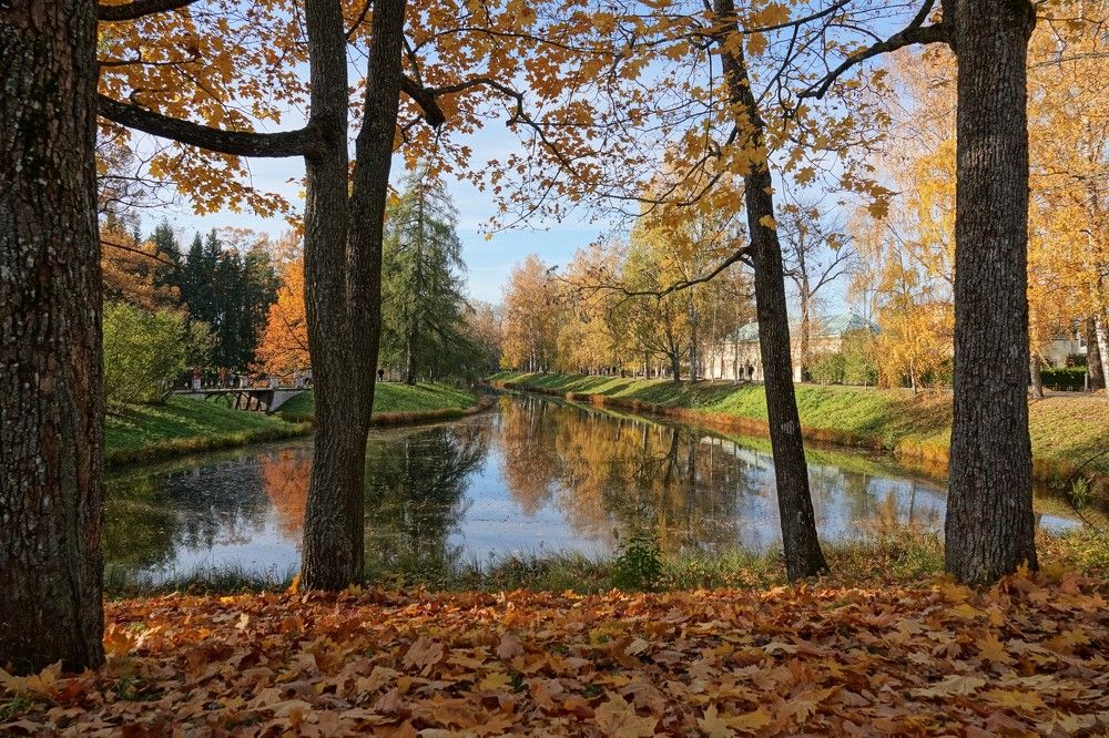 Photograph by Zakharov Matvey