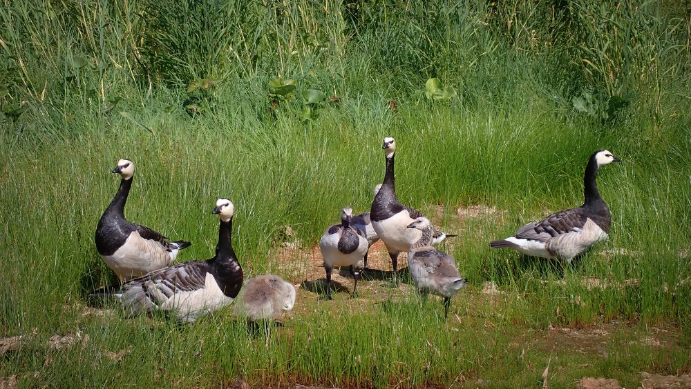 Photograph by Олег Филиппов