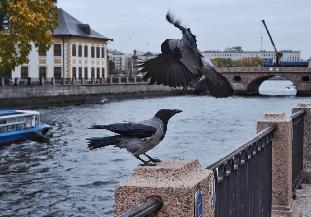 Photograph by Игорь Юхно