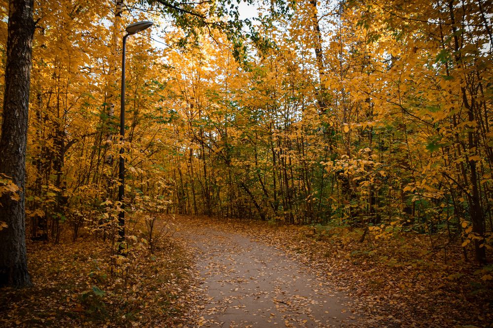 Photograph by Elvira