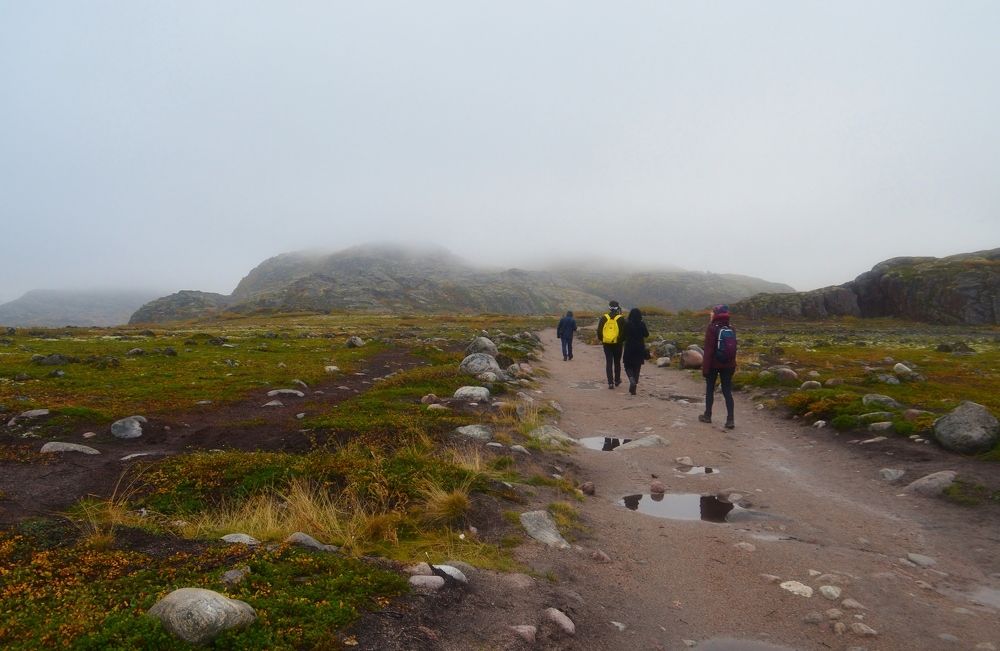 Photograph by Светлана Федотова