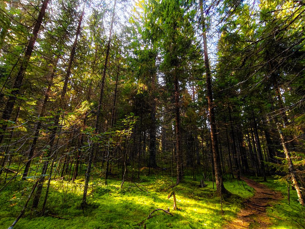 Photograph by Дмитрий Малышев