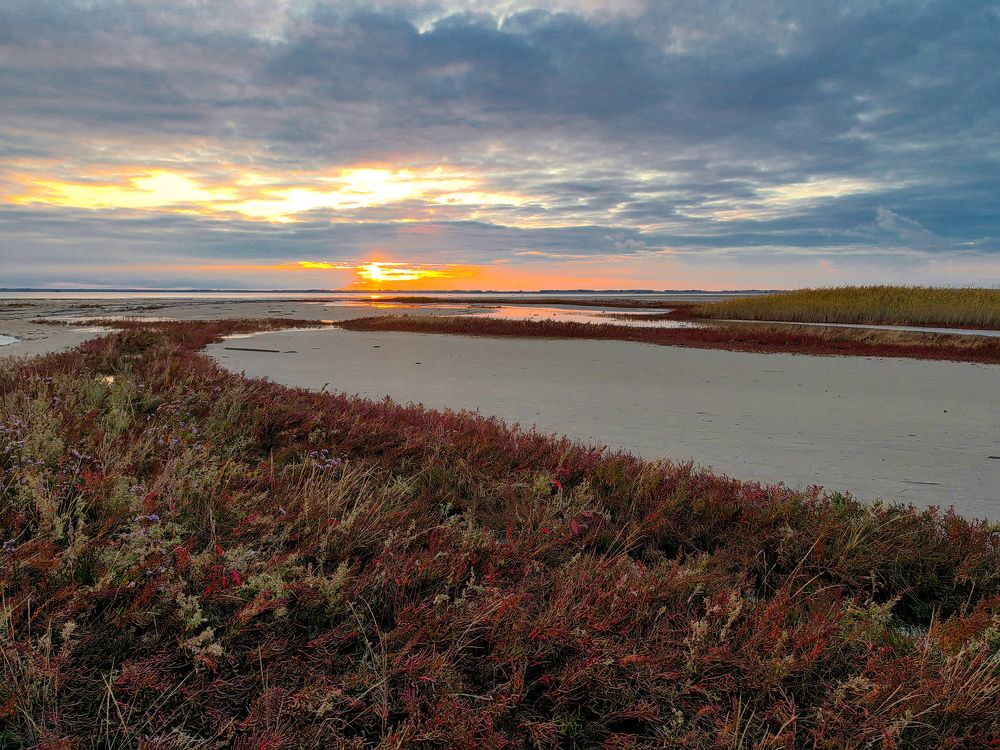 Photograph by Титова Дарья