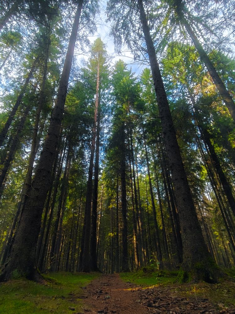 Photograph by Дмитрий Малышев