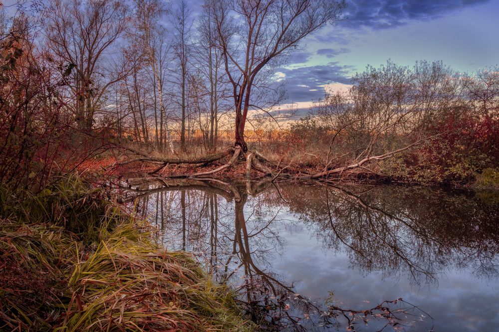 Фотография автора Сережин Сережа