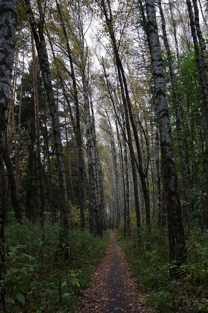 Photograph by VikkiShiryaeva