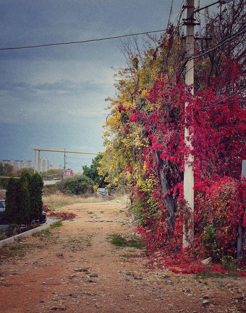 Photograph by Мария Ковригина