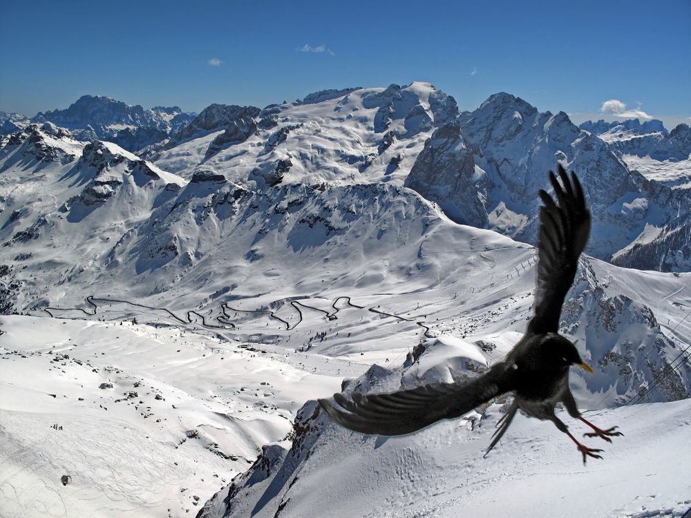 Доломитовы Альпы, Италия.