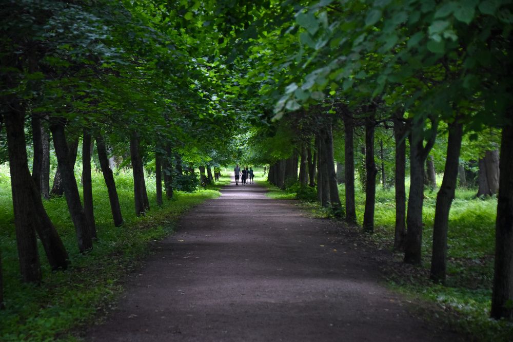 Photograph by Elvira