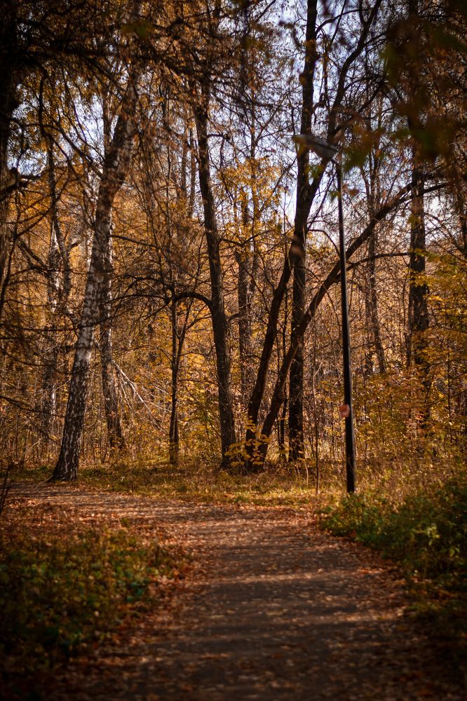 Photograph by Elvira