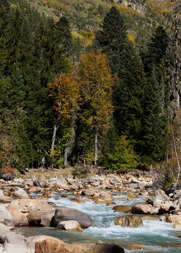 Фотография автора Нина Михеева