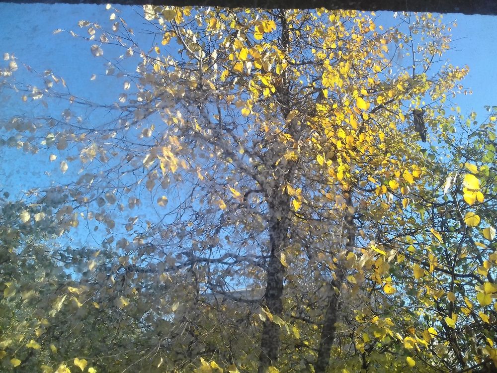 Photograph by Галина Петрушенко