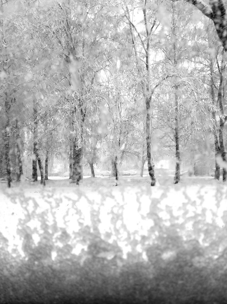 Photograph by Мария Тафеенко