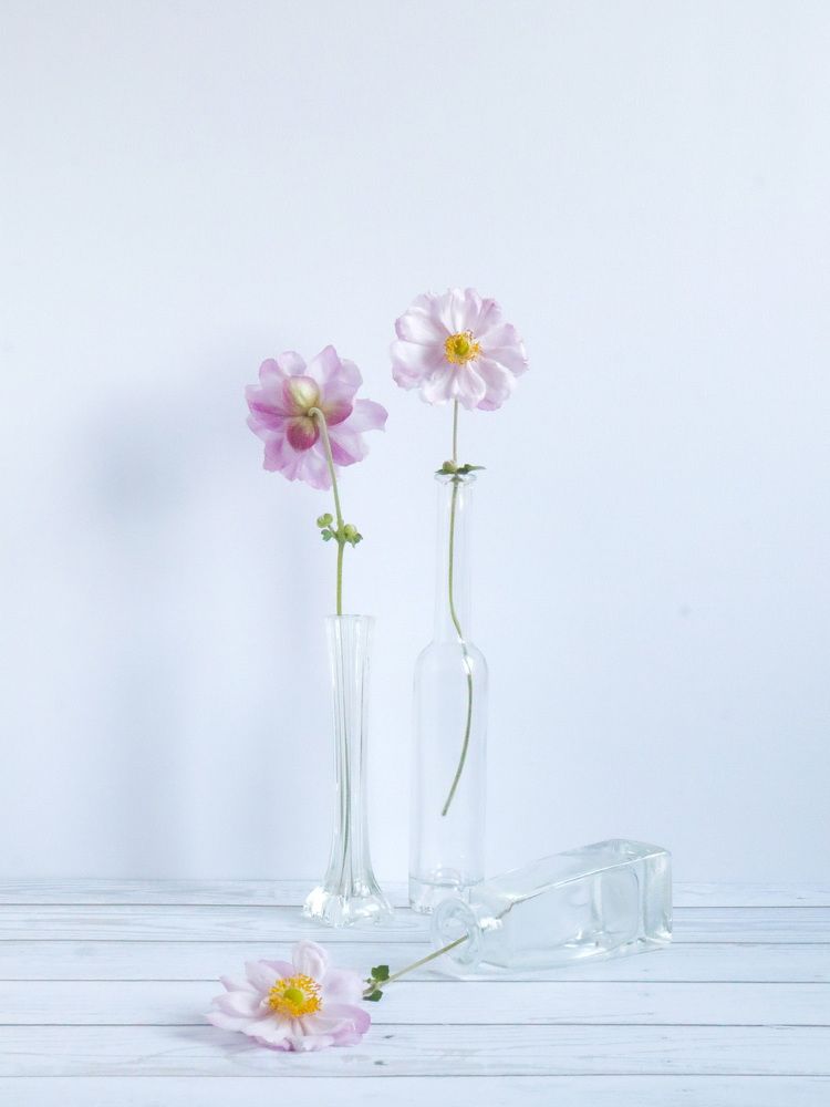 Фотография автора Наталия