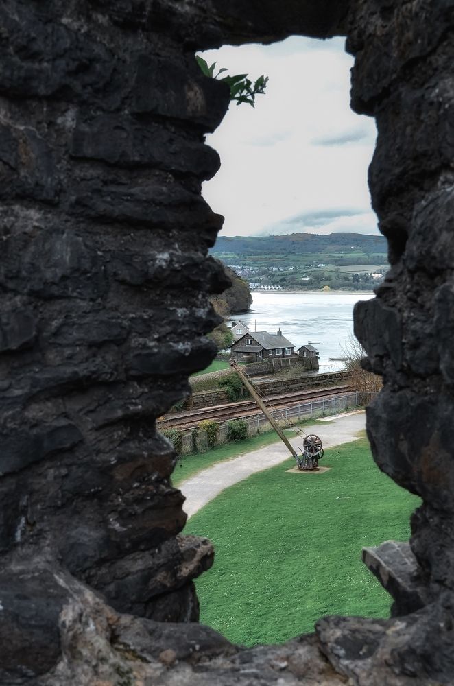 Photograph by Anya Lo